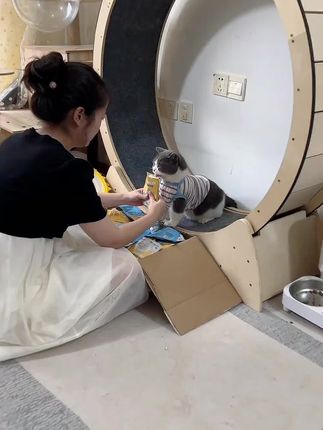 大语文时代,语文考试知识面非常灵活,一定要帮孩子多积累这些百科常识 #育儿 #家庭教育 #百科知识 #文学常识