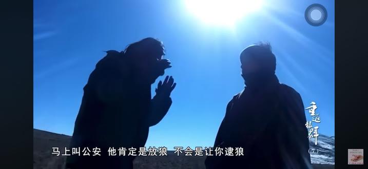 这几天就怕刷到格林,又希望刷到格林,每每看到这段心里翻江倒海,听着狼妈带着哭腔让格林跑,天啊,谁扛得住啊,#格林#重返狼群