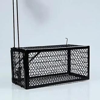 家里老鼠乱窜?这款神器一招搞定! 家里有小动物出没?试试这款自动捕捉器!#好物推荐🔥 #居家好物 #灭鼠一窝端 #捕鼠神器 #老鼠夹