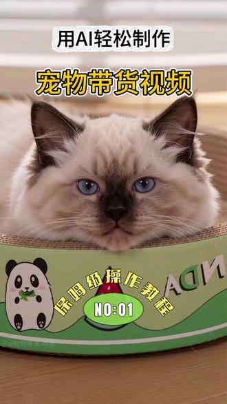 一招搞定AI宠物带货,一条视频教会你做这种AI宠物带货视 频 #宠物带货 #宠物用品 #ai宠物 #萌宠