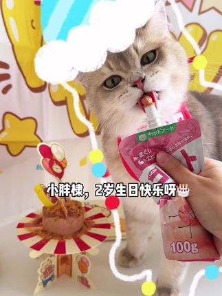 给棣棣安排上一个有仪式感的生日趴,地狱厨房这个生日礼盒啥都包含了,还蛮不错的#地狱厨房 #地狱厨房咕噜酱 #新手养猫 #猫咪生日 #喂猫日记