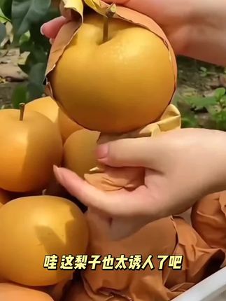 #优质农产品 #秋月梨#水润多汁#三农