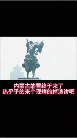 这天气,热乎乎的来个掉渣饼,那叫一个绝啊!#内蒙掉渣饼 #呼市美食推荐 #内蒙古的雪终于来了