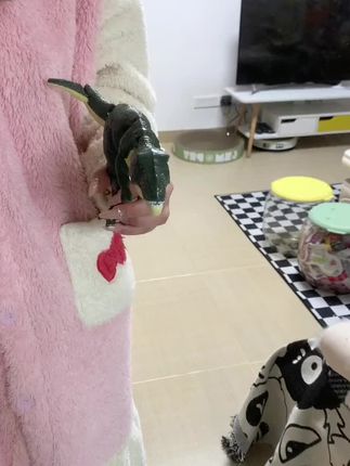 这只恐龙就算放在整个大学届也是相当炸裂的啊!!#玩个很新的东西 #恐龙玩具 #解压玩具 #小恐龙简笔画 #大人也要玩玩具