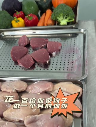 鲜食狗粮现场制作#狗粮 #鲜食狗粮 #营养又健康