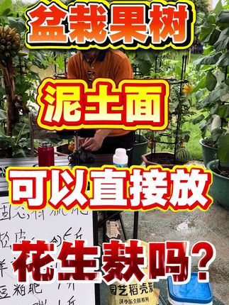 传统的花生麸可以直接放在泥土面上面使用吗?这个很不建议哦,因为花生麸的气味非常难闻,而且花生麸必须要经过3个月以上发酵之后才会有养分释放的,家里使用是真不建议用花生麸了,现在也有很多可以替代花生麸产品,比如豆粕肥,这是一款已经经过发酵腐熟之后的肥料,没有任何气味,重要是直接拆包装放在泥土上浇一下水,水到了养分都会马上释放出来,非常适合家庭盆栽种植使用的~~#三农 #抖音新农人 #肥料 #有机肥 #花生麸
