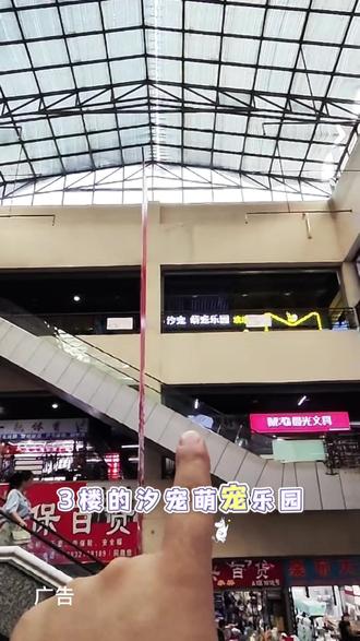 汐宠萌宠乐园欢乐谷 #周末去哪儿玩儿