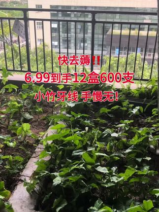 #小竹牙线 #牙线 #剔牙 #口腔健康 #超便宜超划算
