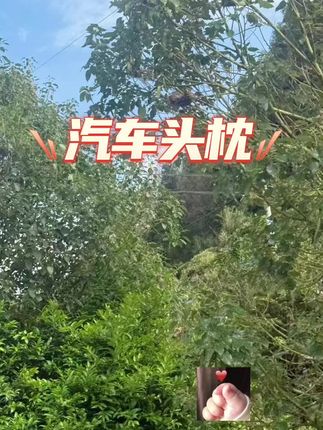 #汽车头枕 #腰靠枕