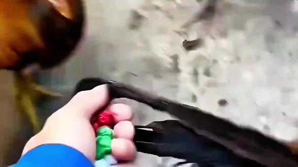 “神圣~白菜对我笑”#冰岛钻石沙滩 #白菜对我笑 #零帧起手 #Funk #phonk