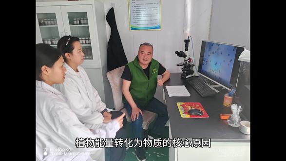 植物把能量转化成物质的原理