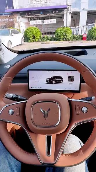 岚图泰山实用技巧分享 #岚图泰山 #岚图汽车