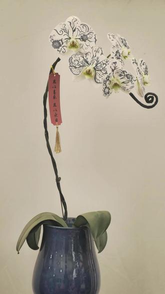 倒霉熊阿水的倒霉日常#造梦师 #倒霉 #倒霉熊 #命苦 #看看孩子吧