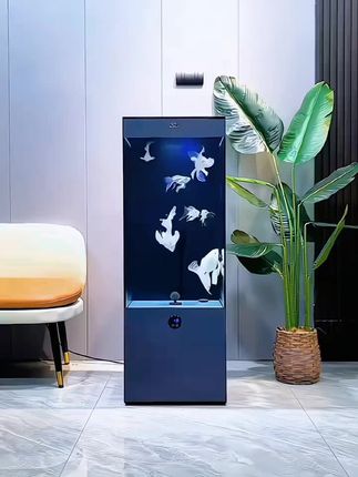 金鱼缸客厅电视柜旁落地静音超白玻璃立式方形生态底滤水族箱#蝴蝶鲤  #客厅高档大气鱼缸 #空气缸  #轻松养鱼