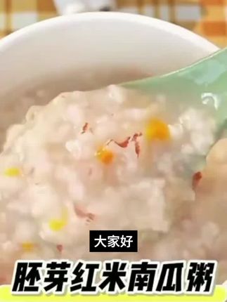 芽芽乐【15天每日软粮粥】29种胚芽米杂粮儿童稀饭营养粥独立包装 #好物分享 #好物推荐 #好物 #居家好物