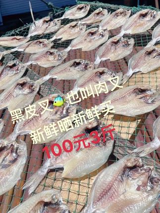#大海的味道,晒鱼🐠鲝,黄姐亲手晒制