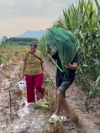 #户外钓鱼 #我的乡村生活 #逮鱼摸虾