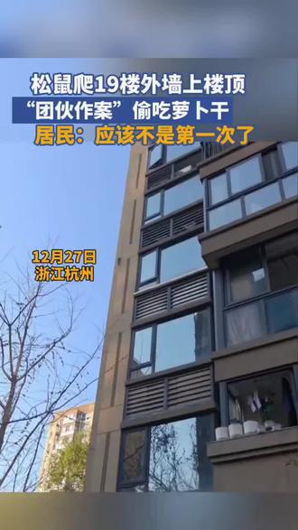 12月27日,浙江杭州。松鼠沿高层建筑外墙爬至19层楼顶,偷吃居民晾晒的萝卜干。目击者沈女士称,小区松鼠一直很多,楼顶经常有人晒腊肉萝卜干等,小家伙可能不是第一次这么干了。(中原网)