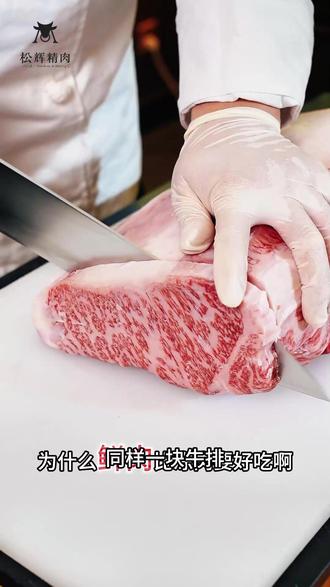 一鲜顶万千,为什么推荐大家食用鲜肉的原因,一条素材告诉您 #松辉精肉 #辉烧肉 #湿式熟成 #同城小时达