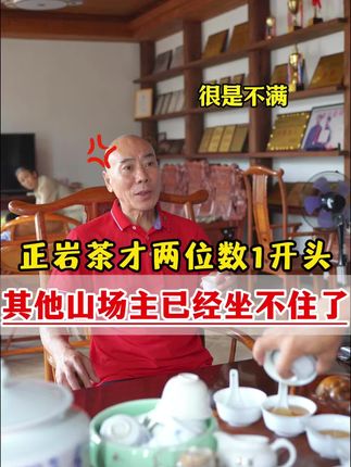 正岩茶才两位数#武夷岩茶肉桂 #碧石岩肉桂 #喝茶聊天 #好茶推荐 #茶叶搬运工