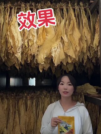 满房黄,减少青筋挂灰霉烂明显