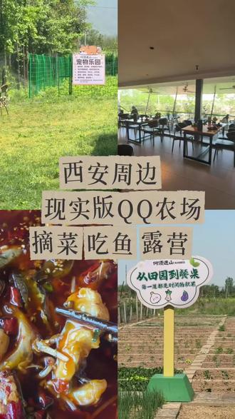 西安现实版QQ农场!!!#西安周边农场 #现实版qq农场 #亲子采摘体验 #农家特色美食