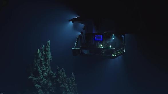 马里亚纳海沟:地球深渊颠覆认知的诡异生物! 人类禁区!潜入11000米,挖掘地球最深处的#秘密 #科普 #深海 #悬疑 #真实事件