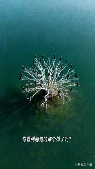 这个ai在我前面发的视频基础上做的,强大吧#ai视频 #人工智能