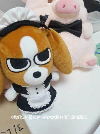 #我们仨 #杨绛 #钱钟书 #读书 #婚姻