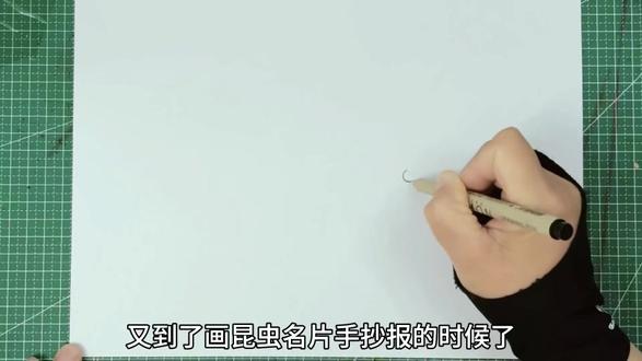 蜜蜂动物名片手抄报 电子版线稿也做好了#动物名片手抄报 #动物名片卡 #蜜蜂手抄报