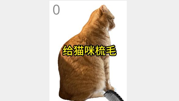 今天我们要给一只大胖猫梳毛 #steam游戏 #游戏解说 #游戏