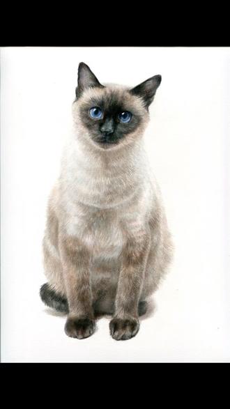 ^_^大黑脸猫咪🐱#手绘 #猫咪 #彩铅