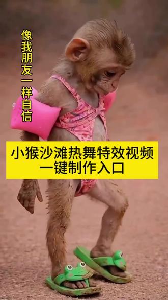 小猴沙滩热舞特效视频一键制作教程来了#猴子跳舞表情包 猴子跳舞原视频 #猴子搞笑视频 #跳舞 #剪映 猴子跳舞合拍教程 颠猴跳舞视频#猴子跳舞 猴子跳舞原版网红猴子跳舞一键免费获取入口 猴子跳舞表情包教程 猴子跳舞视频怎么怎么制作