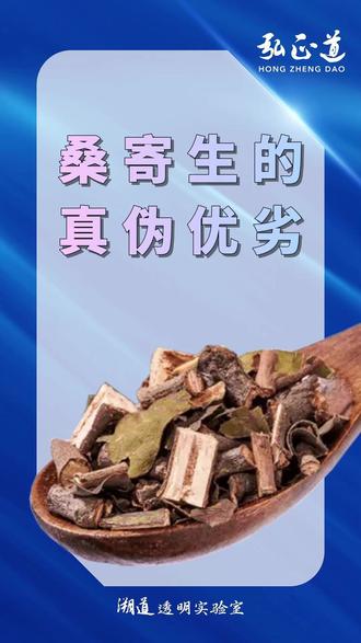 中药鉴别:桑寄生 桑寄生和梨果寄生如何区分呢?在本期视频中,刘连根老师将为您讲解桑寄生的植物来源和药材性状。
#中药鉴别 #桑寄生 #钝果寄生 #梨果寄生 #红花寄生