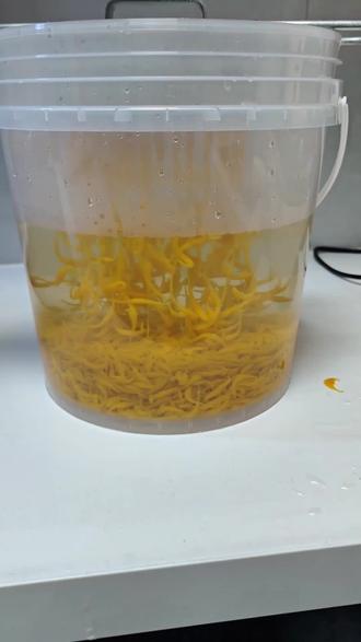 槐花粉凉虾成形Q弹的关键#凉虾 #槐花粉 #凉虾制作方法