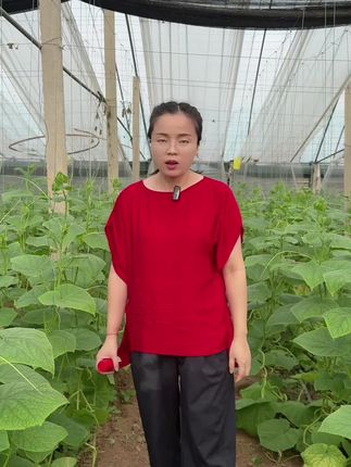 #白粉虱小红瓶 #白粉虱 效果好滴很 #防虫小妙招 #资生源农业