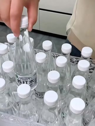 白桦树汁苏打水到手一箱24瓶你看才啥价,只要不涨价,这个夏天我家就喝它了!#白桦树汁 #苏打水 #好喝不贵 #口感特别好 #饮品推荐