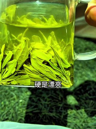 硬是漂亮 泡出来漂亮,喝起来滋味美妙,就是我们厂做的这款高山#瓜片#恒耀兴茶#货真价实#六安瓜片