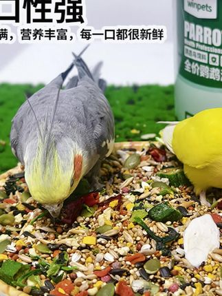 鹦鹉粮食玄凤牡丹小太阳和尚果蔬粮混合粮小型鹦鹉鸟食优选新鲜粮#鹦鹉日常 #鹦鹉鹦鹉萌萌哒逗鹦鹉 #萌宠出道计划 #鸟粮 #如何喂养鹦鹉