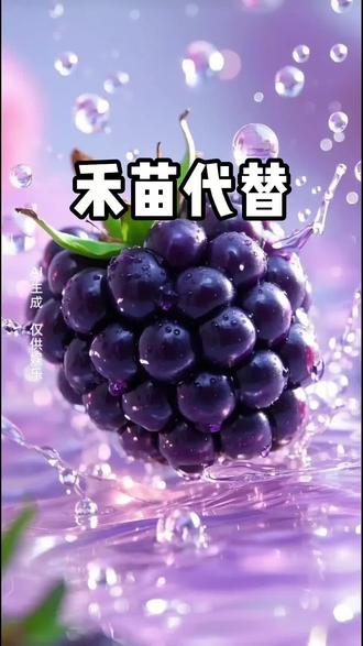 禾苗代替#文荒推荐#爽文