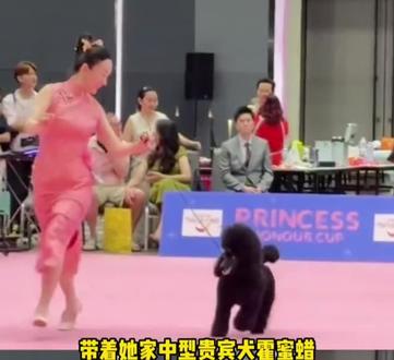 霍思燕真的是哪哪都好,啥啥都好。。。。。。