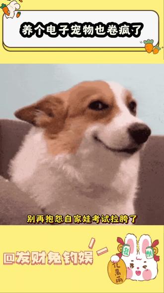 成绩不好也不能全怪娃啊 #元仔 #电子宠物 #万万没想到 #内卷