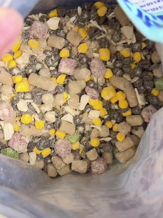 特别适合多猫家庭,然后又喜欢吃冻干,不喜欢吃猫粮的#萌宠好物 #科学养宠攻略 #猫粮 #养猫新手