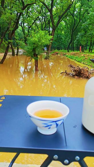 岁无可叙,盛夏执青~~#山水间一席茶 #山水煮茶