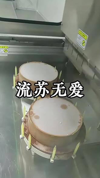 📖:流 苏 无 爱 #知乎