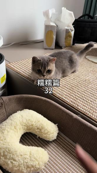 视频最后的问题到底怎么解释? 好家伙为了拍个视频说完这些,糯糯听懂了,不喝水了…没事,燃烧自己点亮别人,有猫猫的家人可以试试,当然一定要是毛孩子最爱的那一款湿粮(也可以直接用补水包,兑水1:1 两天用一包)我再找找邪修,或者也可以一起讨论,成立猫猫补水大作战!#记录铲屎官的养宠日常 #养宠进阶指南 #宠物猫 #养宠那些事儿 #铲屎官交流