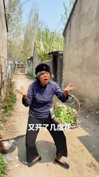兄弟姐妹们,玉芬来了 #彪哥彪哥你到底去哪了#我的乡村生活