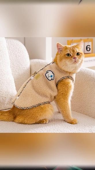 猫咪衣服秋冬可牵引防掉毛加绒保暖金渐层布偶猫蓝猫英短可爱绒衣#猫咪衣服 #秋冬宠物服饰 #加绒保暖 #猫咪牵引衣 #可爱猫咪装