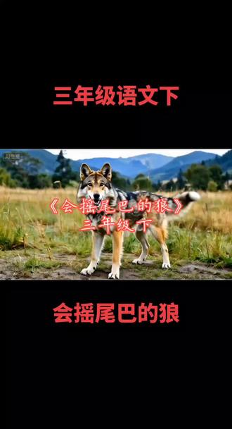 三年级语文下《会摇尾巴的狼》 三年级语文下《会摇尾巴的狼》#语文 #语文老师 #语文学习 #课文动画 #语文书