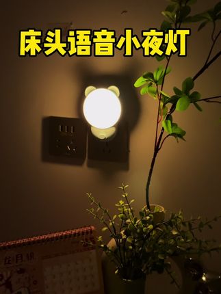 直接差点就能使用的一款语音小夜灯,放在床头不用再担心晚上摸黑找开关啦#语音小夜灯 #床头灯 #卧室必备
